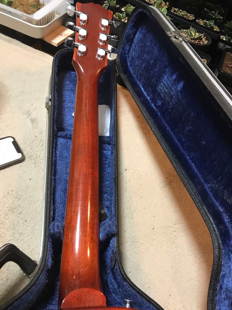 【説明必読】Bacchus BLS-120 Live Road レスポールタイプ