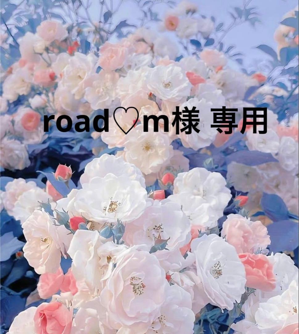 サルート　F75/L 08G 牡丹　中国音楽　店舗限定　BE