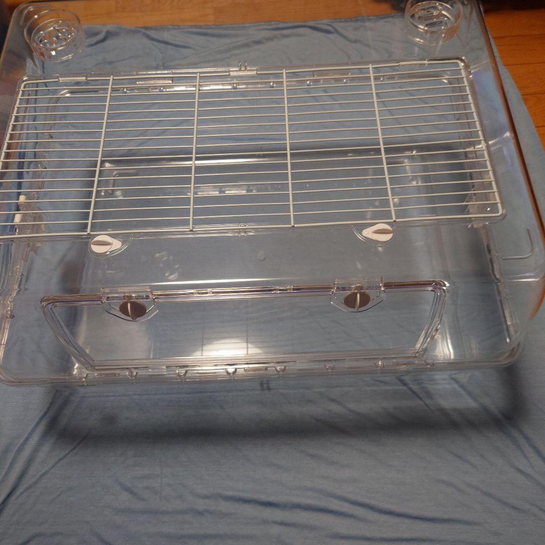 ルーミィ60 ベーシック