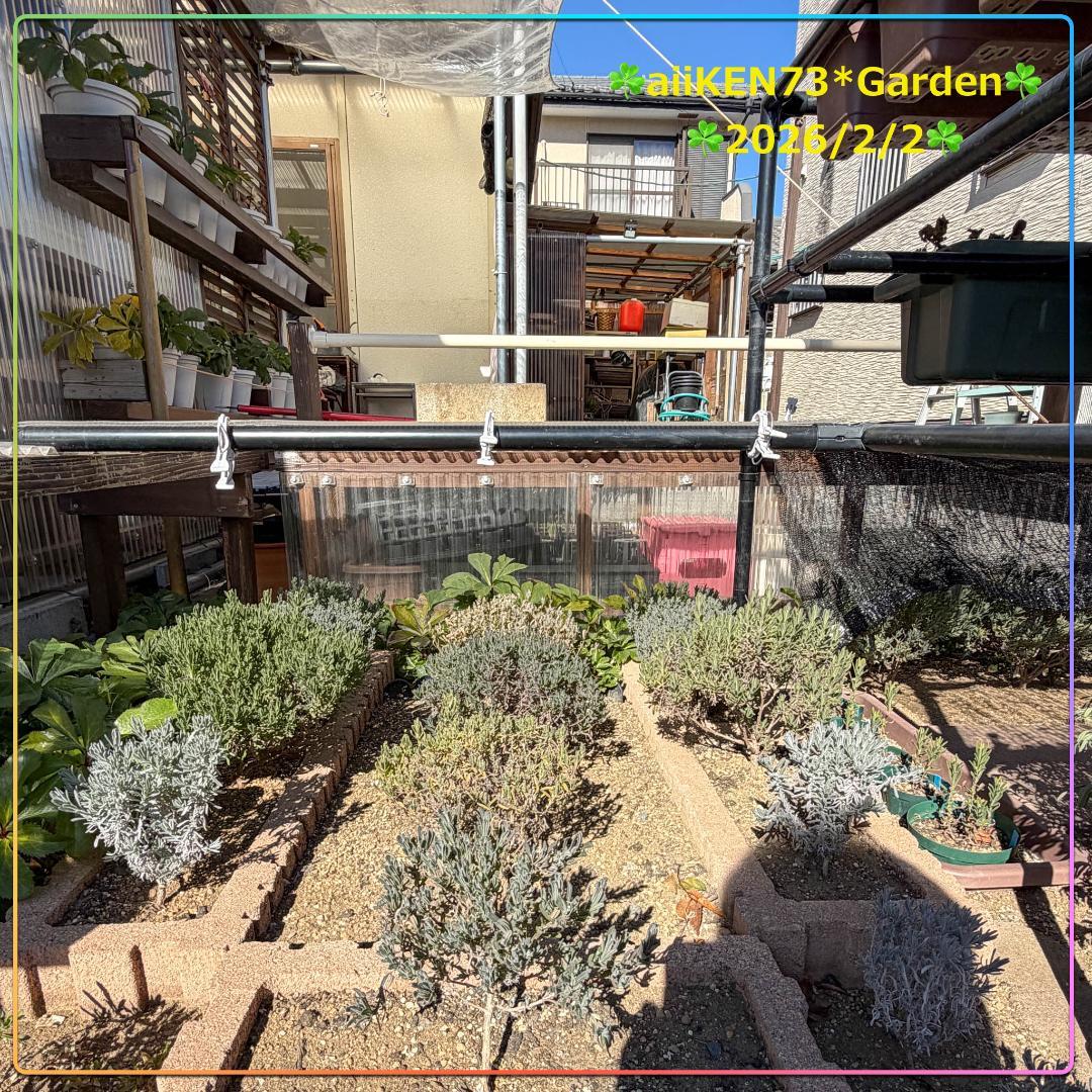 ☘️aiiKEN73*Garden☘️AG202602