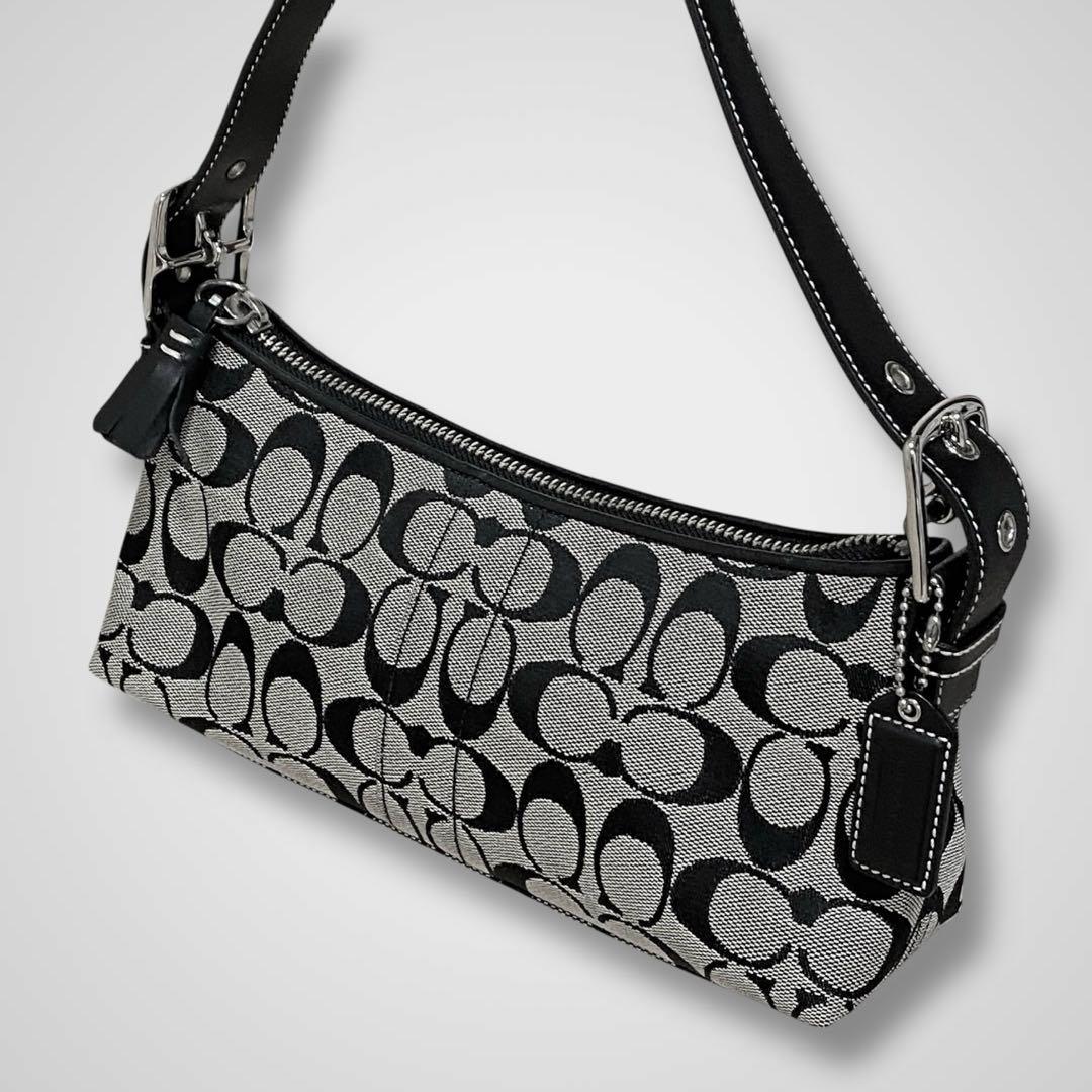 コーチ アクセサリーポーチ ワンショルダー シグネチャー