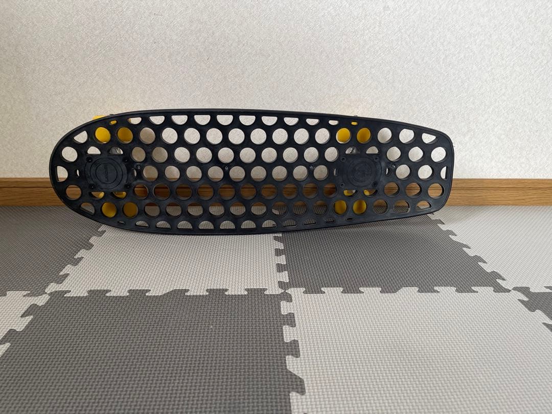 (ランダー)  LANDER 24.5インチ  RIO ミニクルーザー