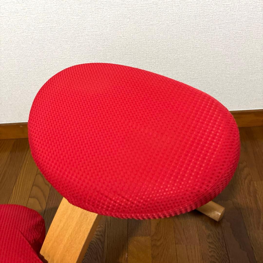 【極美品】 バランスイージー レッド 通常フレーム 防水カバー付き