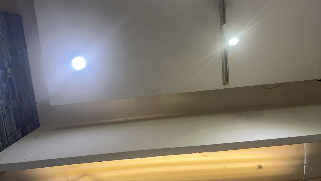 黒いスポットライト レール式