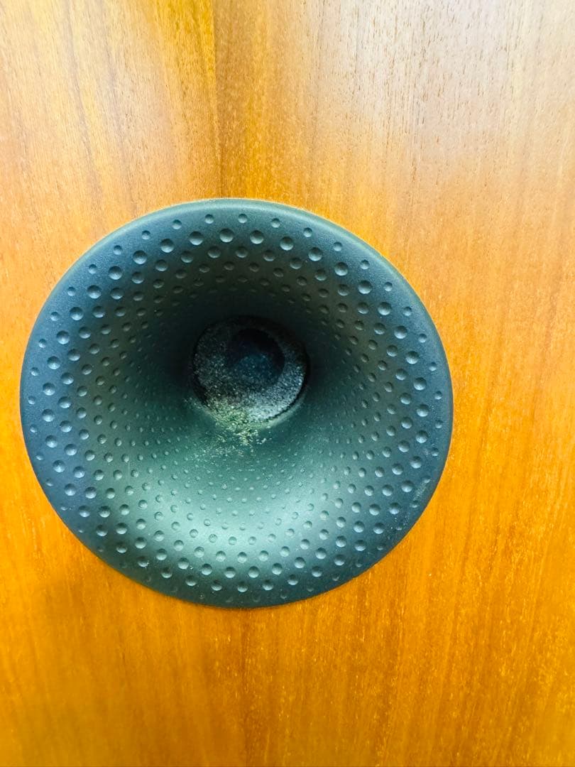 B&W Bowers & Wilkins 704 トールボーイ スピーカー