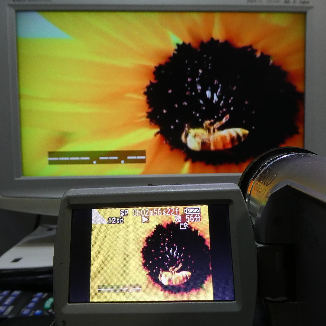 動作良好 パナソニック NV-GS300 MiniDVビデオカメラDVD化に最適