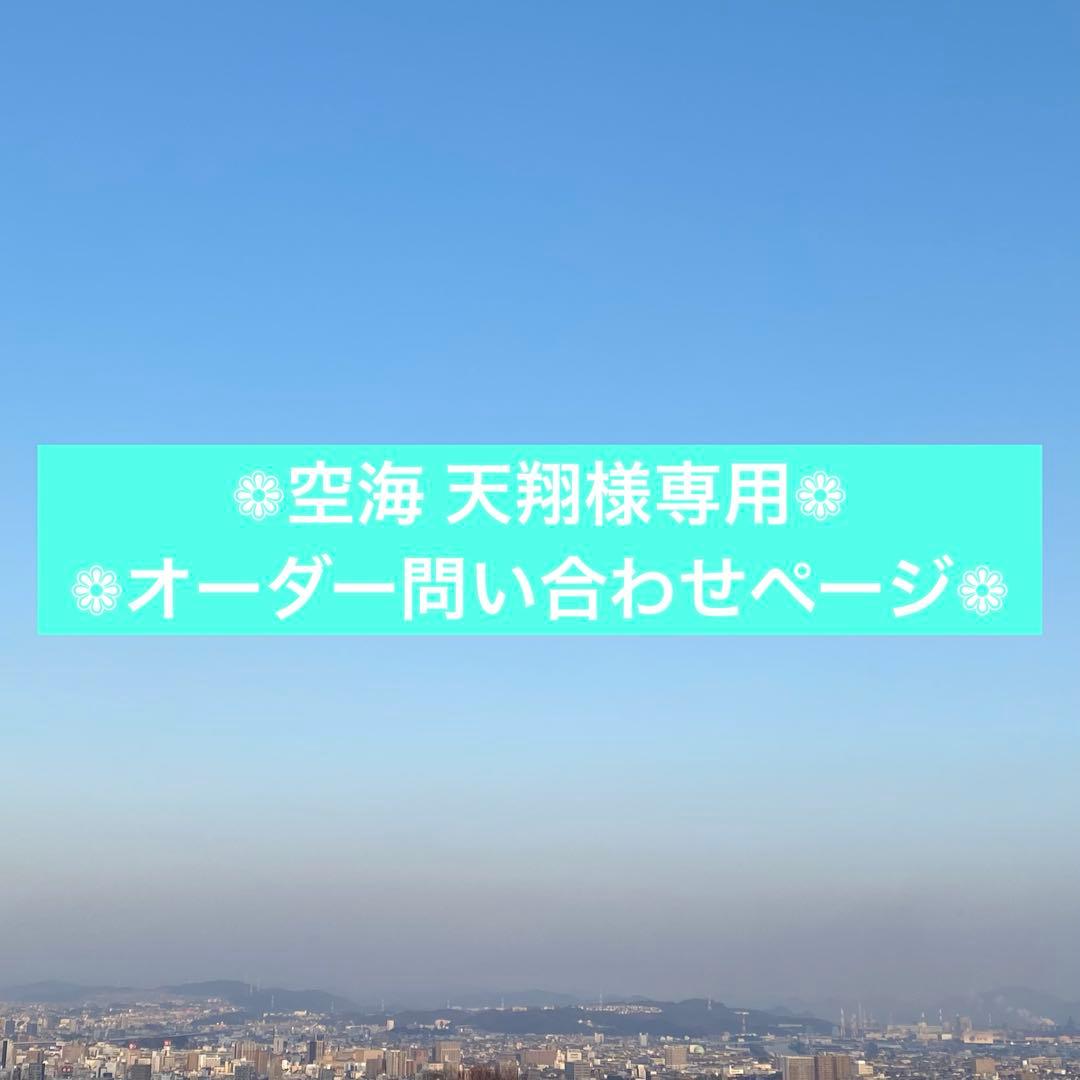 キャンセル❁空海 天翔❁オーダー問い合わせページ❁三日月型ハウライト