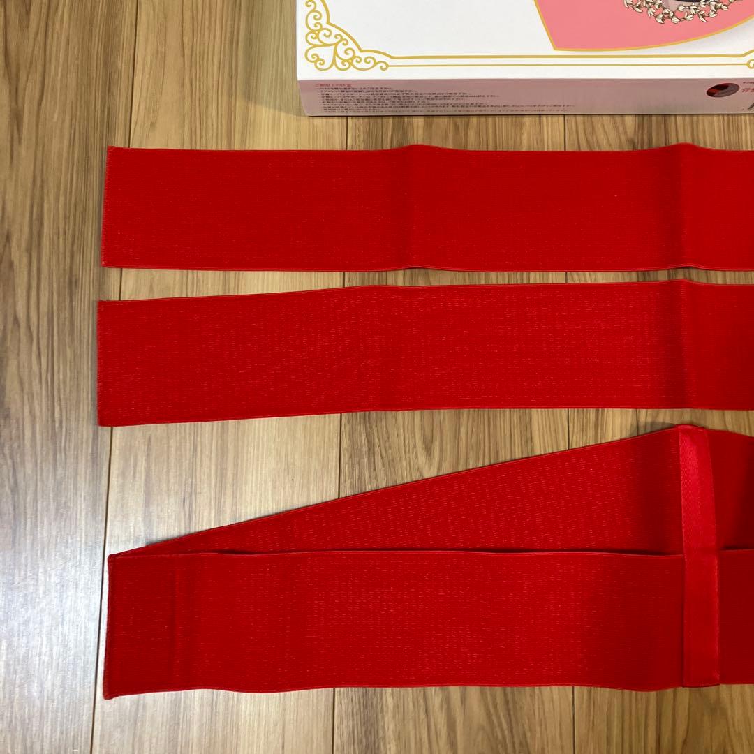 フレキシア✴︎セルステラbody 骨盤ヒップUPサポーター レッグ&アームチューブ