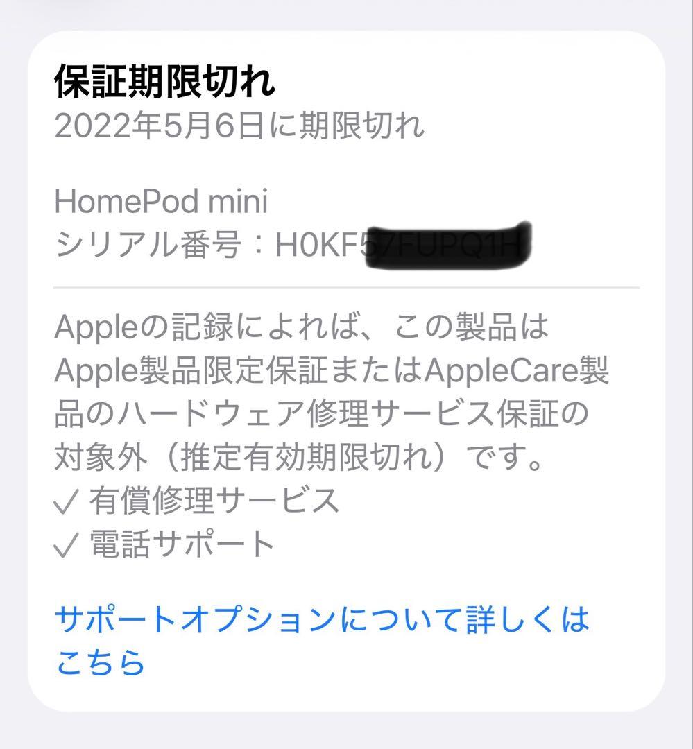 Apple Pod mini スペースグレー 2台セット