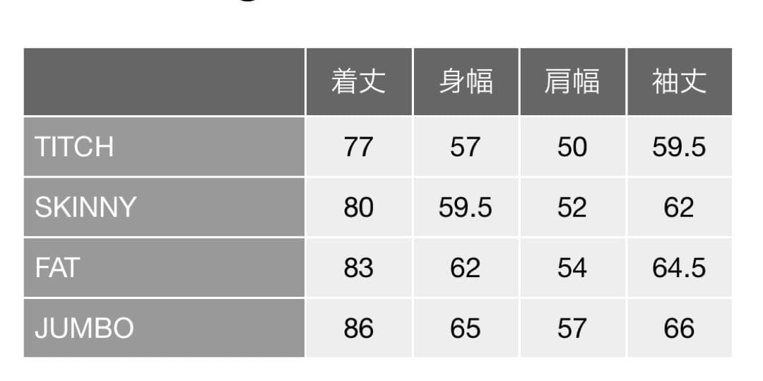 d*i様 FAT TRON ナイロンジャケット　美中古