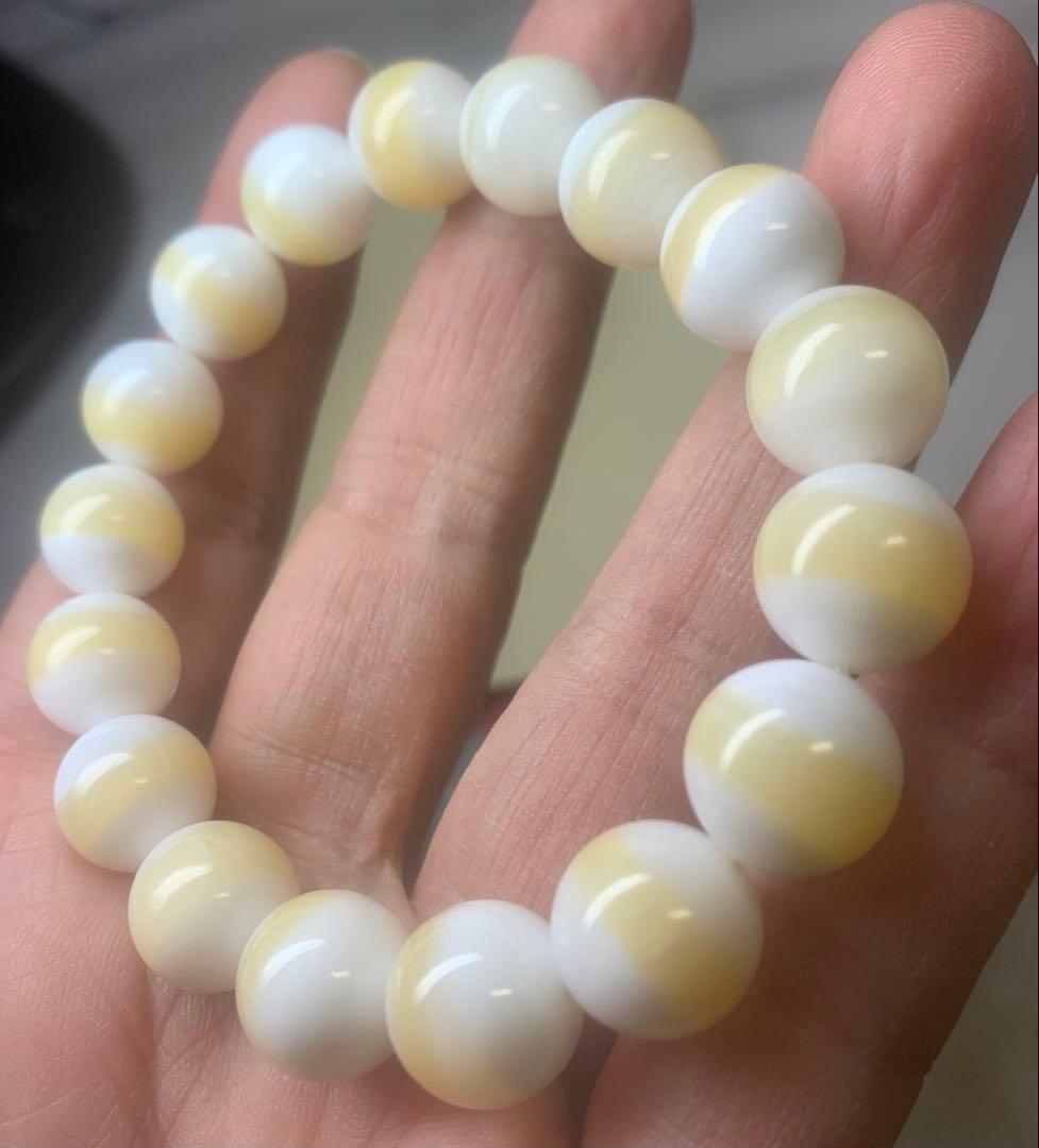 高級シャコガイ12ミリブレスレット