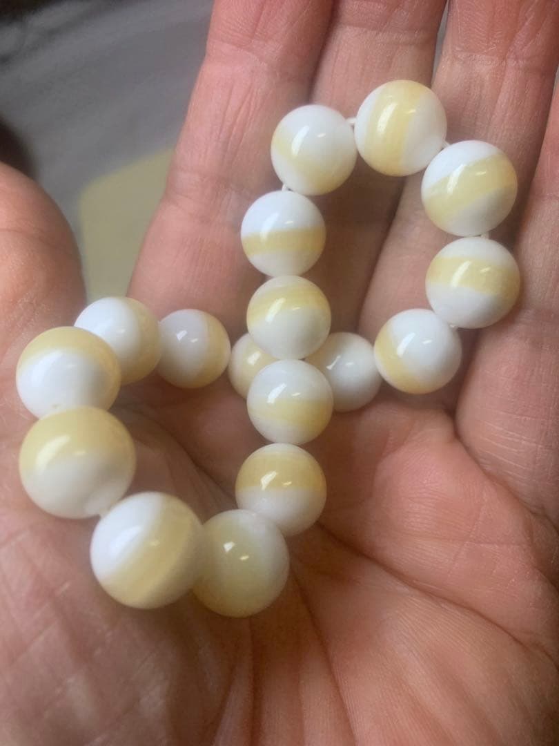 高級シャコガイ12ミリブレスレット