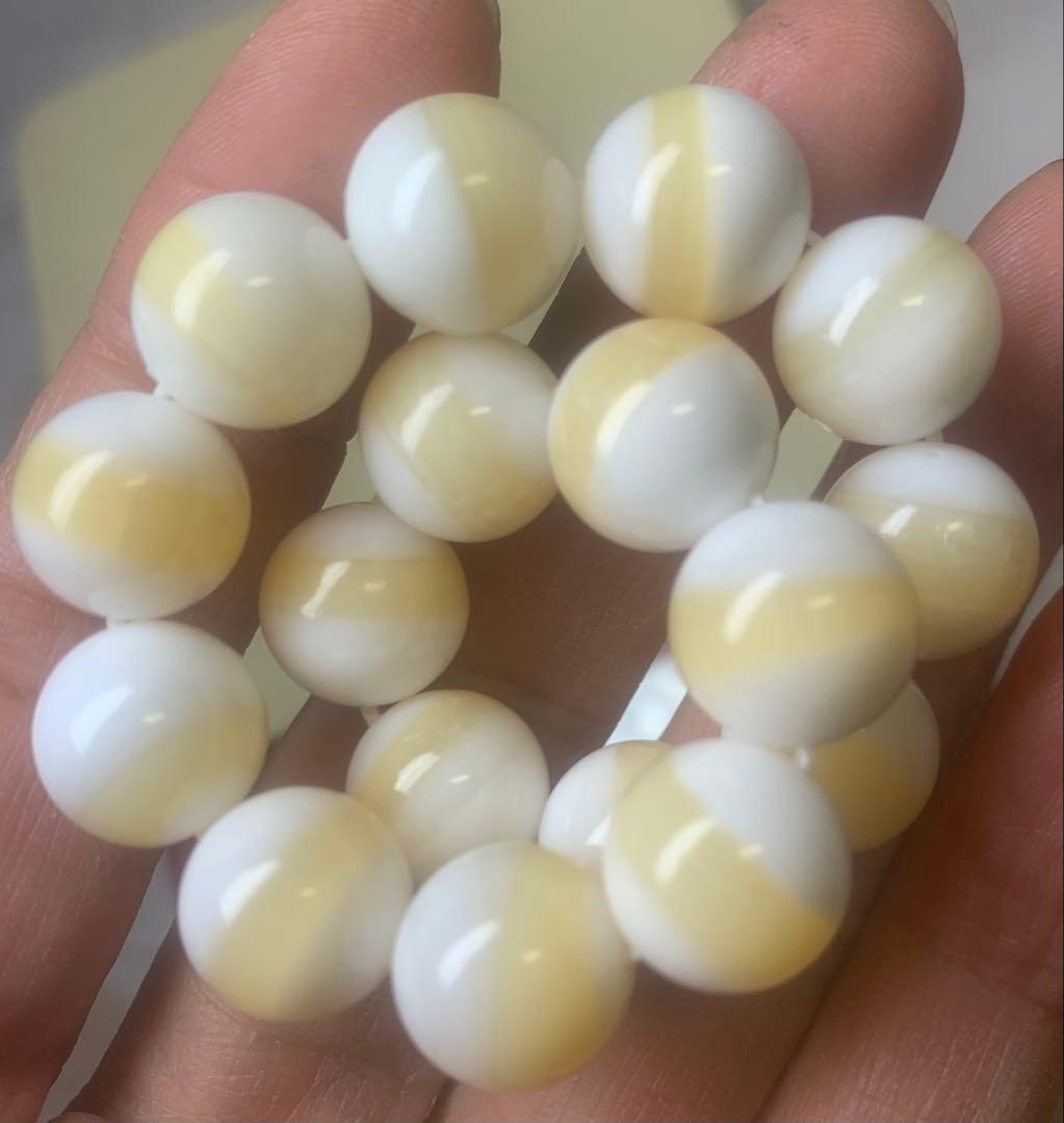 高級シャコガイ12ミリブレスレット