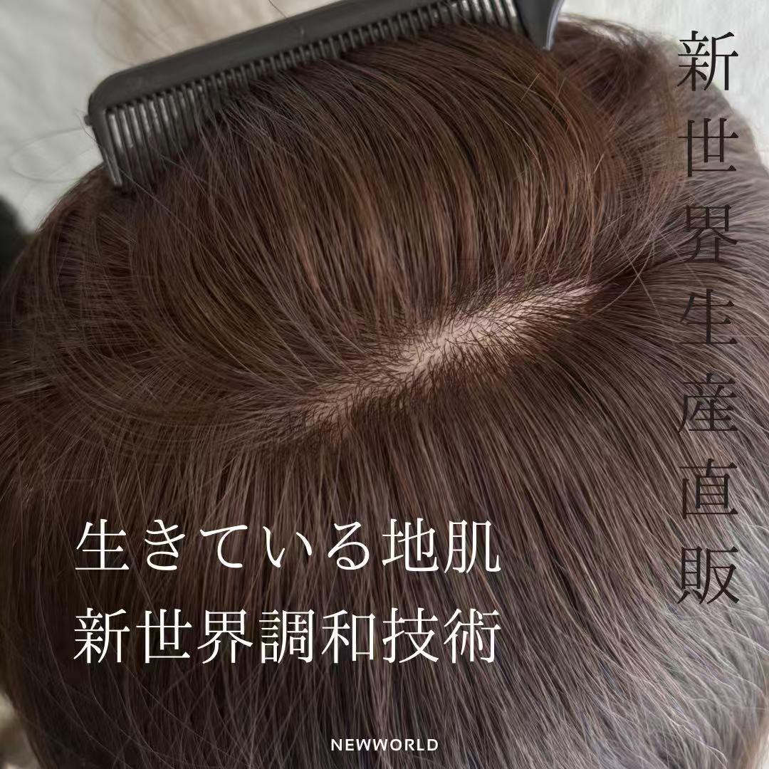 20252026新世界　人毛100%　フルウィッグ　ブラウン　医療ウィッグ