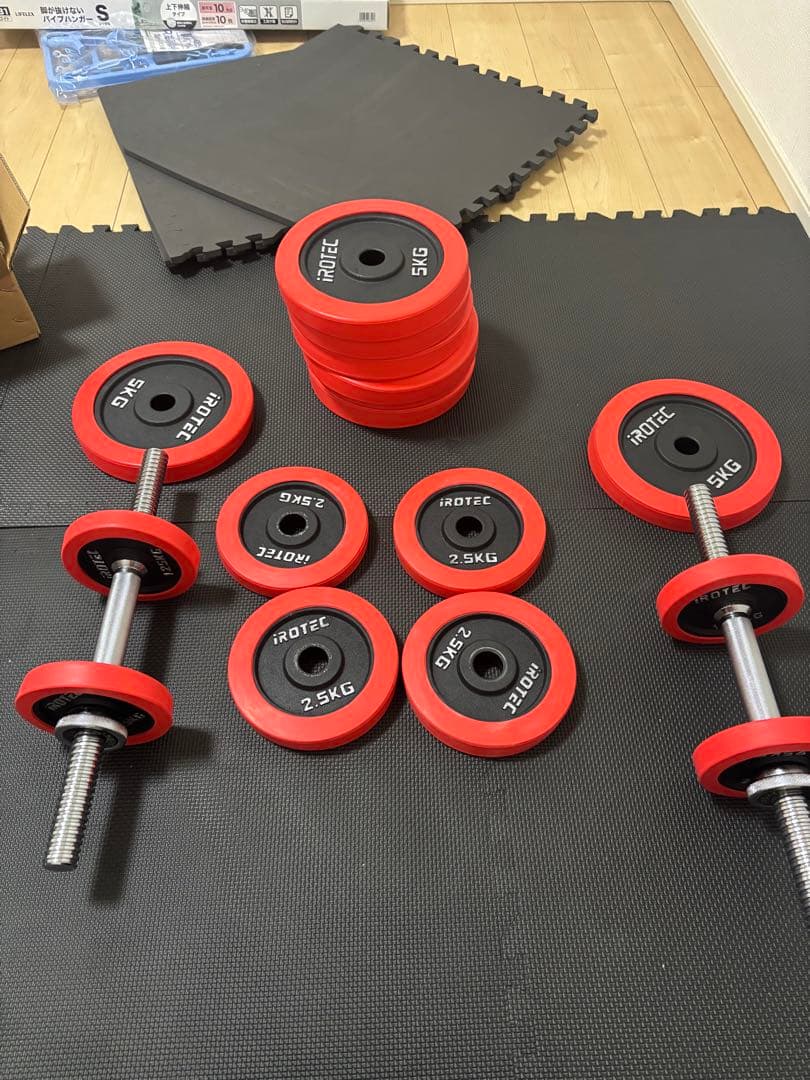 ROTEC ダンベルセット ３０ｋｇ×2