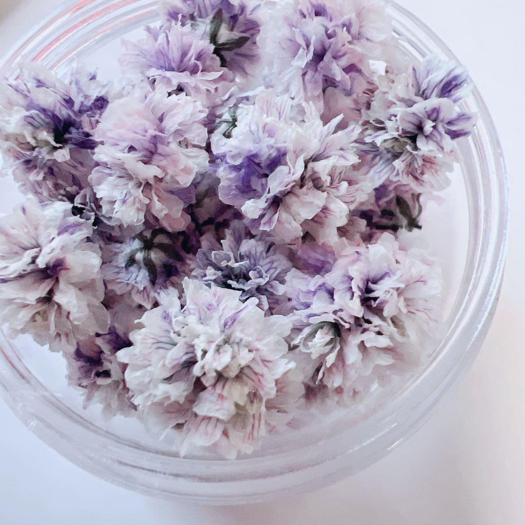 かすみ草ドライフラワー