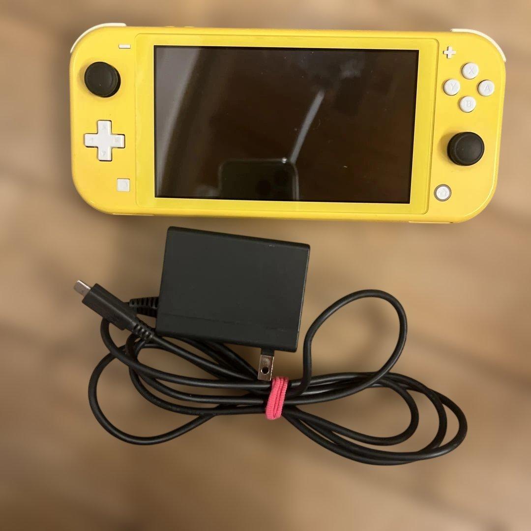【ジャンク品】ニンテンドースイッチlite 充電器付