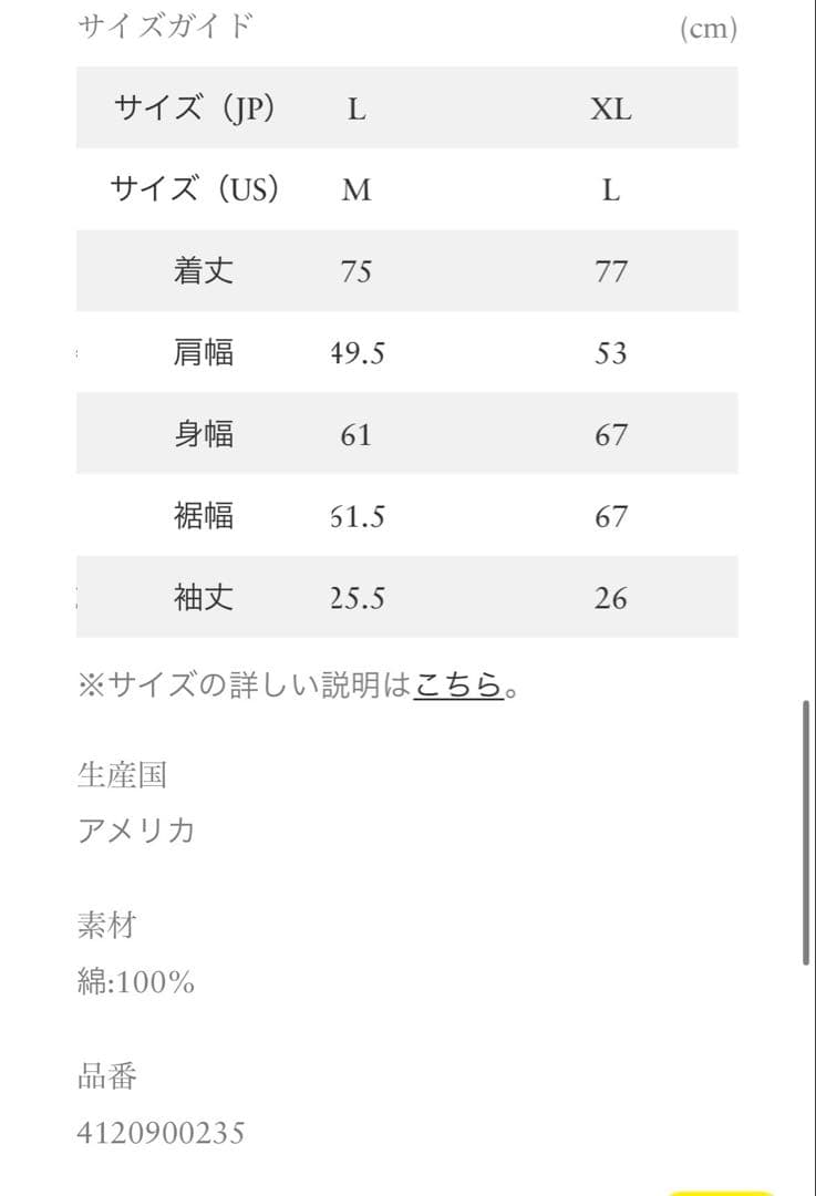 r*x様 champion×RHCロンハーマン　USA TEE