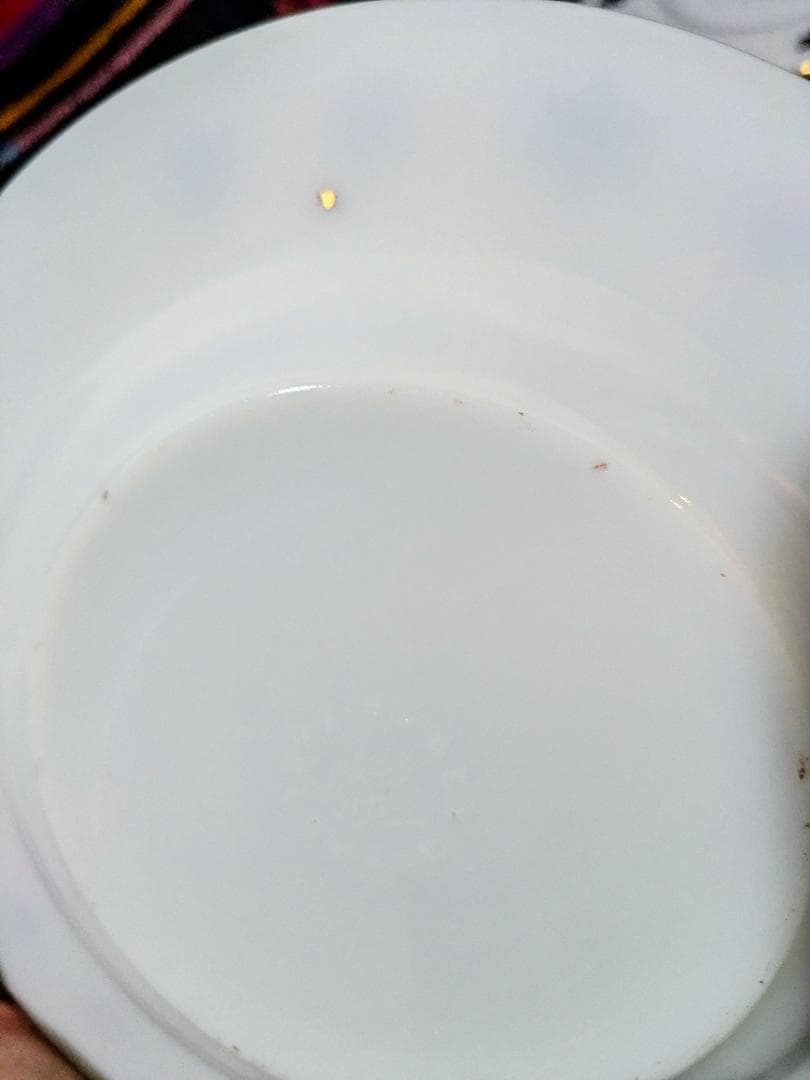 JAJPyrexスノーフレークプレートセット (ディナー・スープ・サラダ)12点