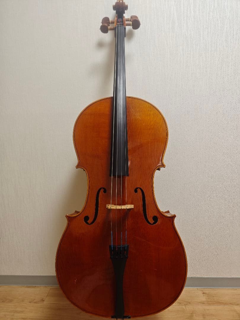 【Tm】Pygmalion Rubino 350S　チェロ