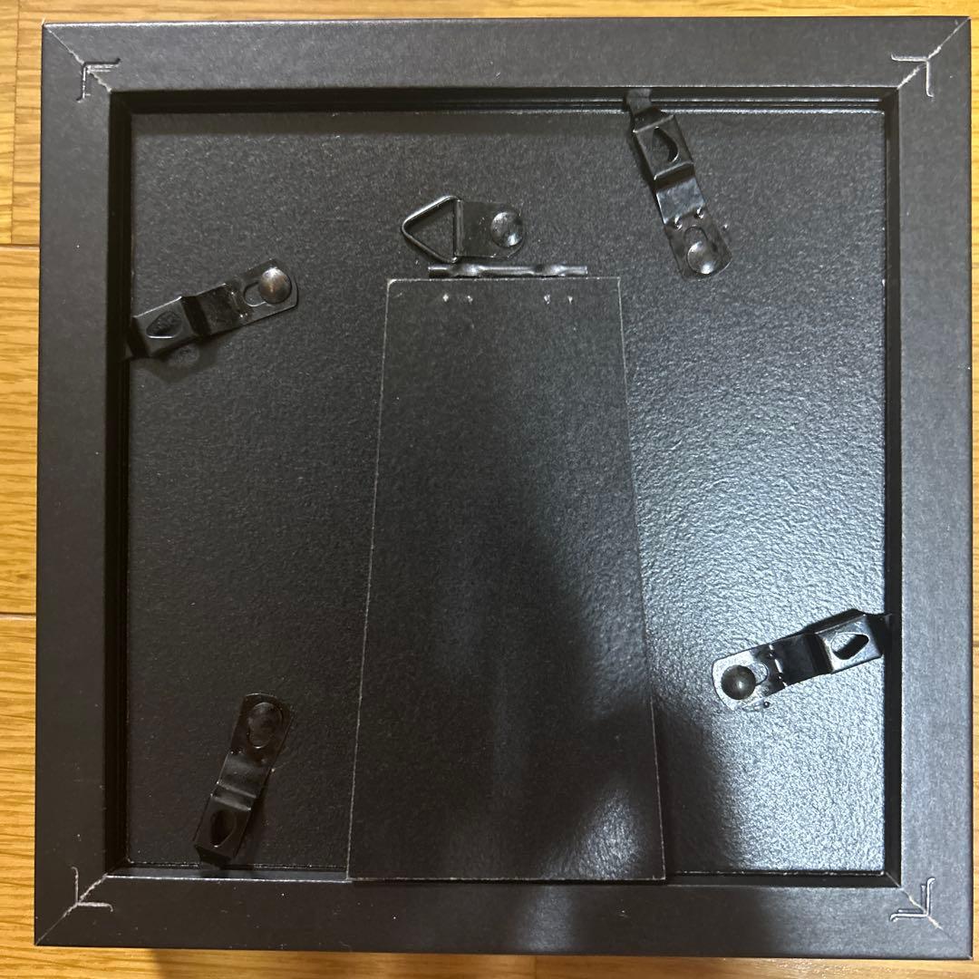 青緑色の蝶の標本 黒フレーム付き