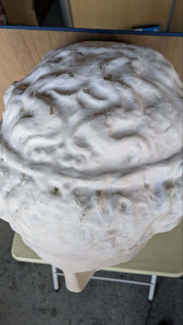 古典的プラスター彫刻の頭像　パルテノン首像　中古品