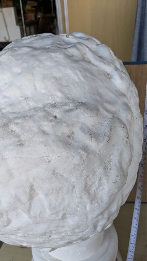 古典的プラスター彫刻の頭像　パルテノン首像　中古品