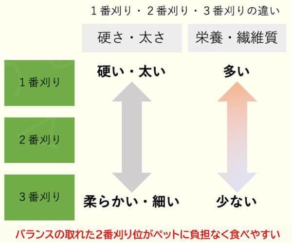【家計応援価格】US産 チモシー 100kg ２番刈 ソフトSプレミアム