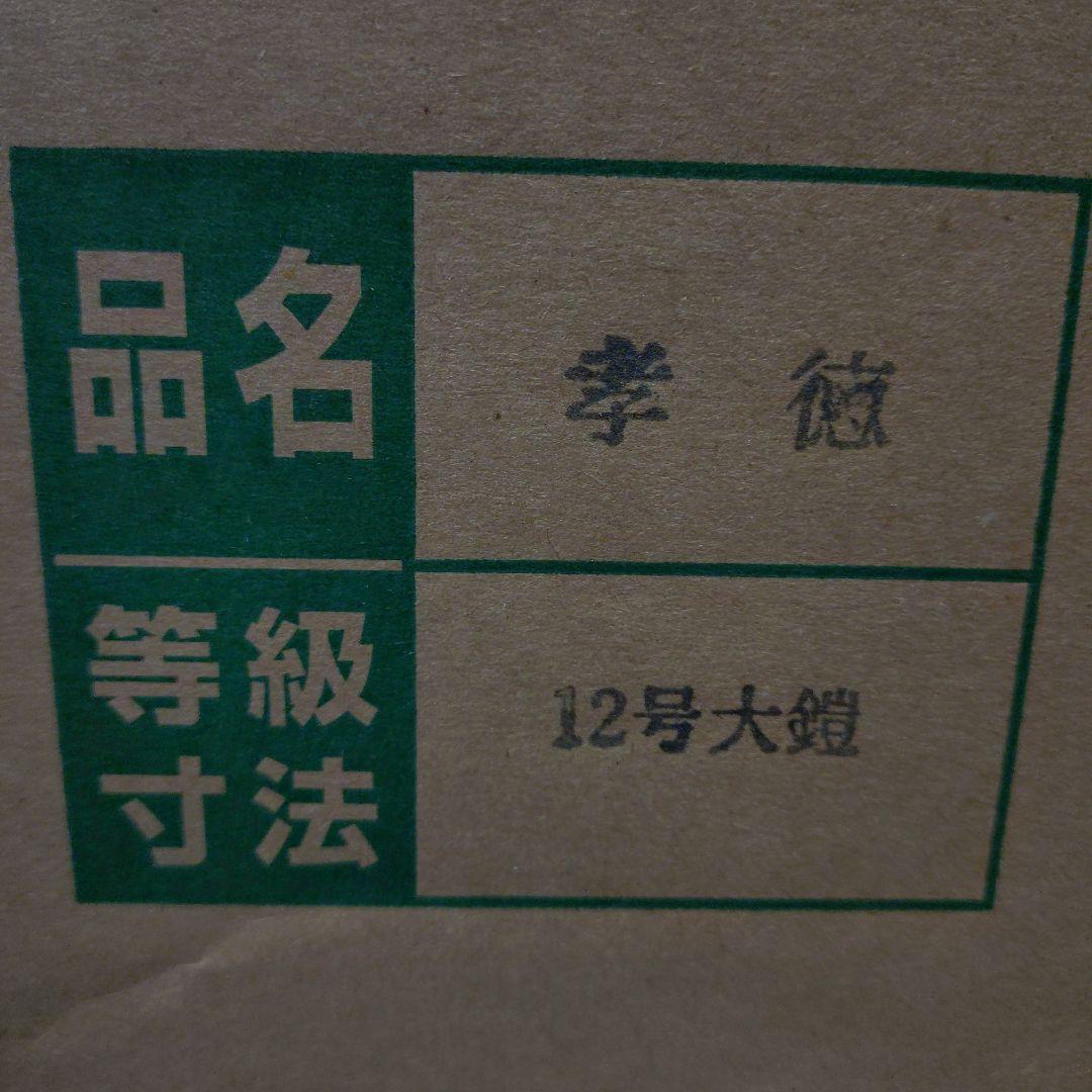 五月人形 12号 孝徳　大鎧