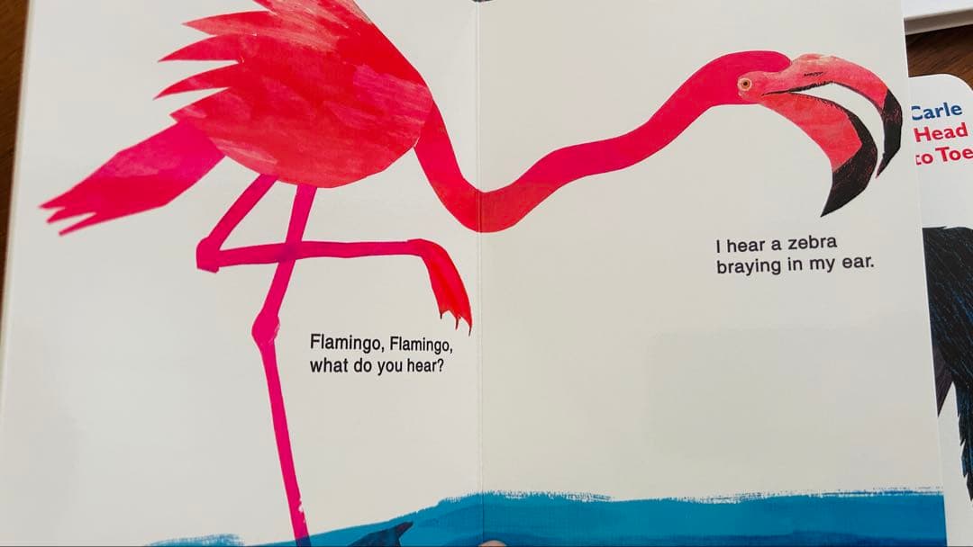 TM Eric carle/brown bear絵本セット10冊