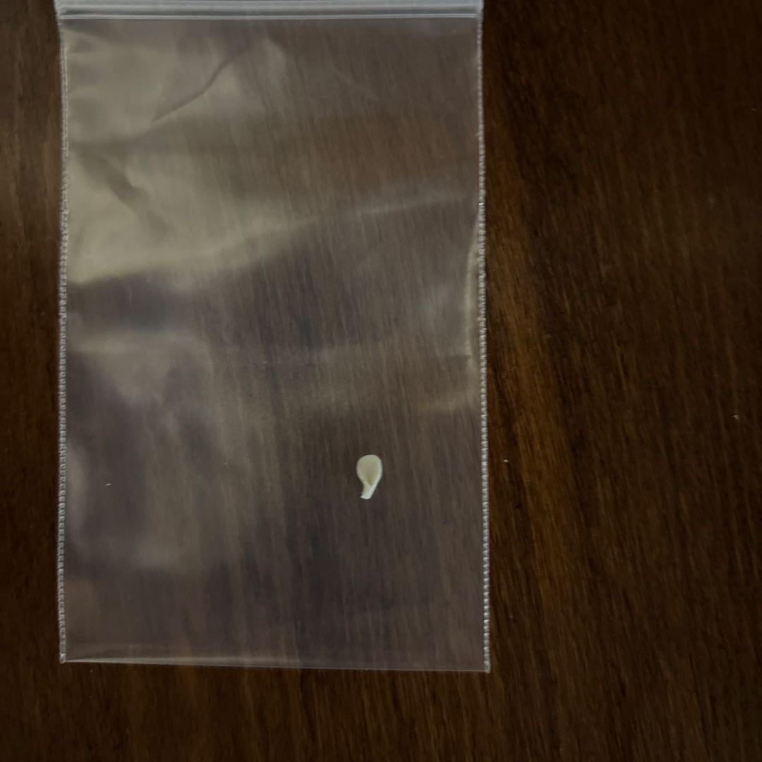 リヤドロ LLADRO リアドロ おめかししようね