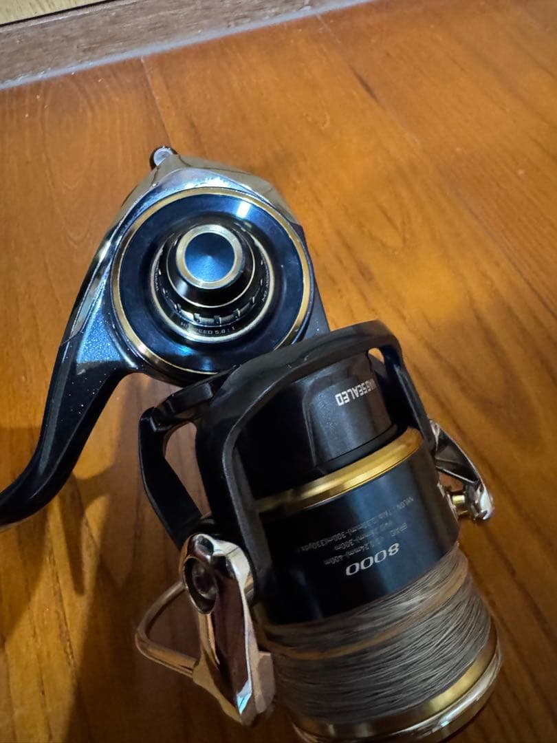 Daiwa 20ソルティガ 8000H