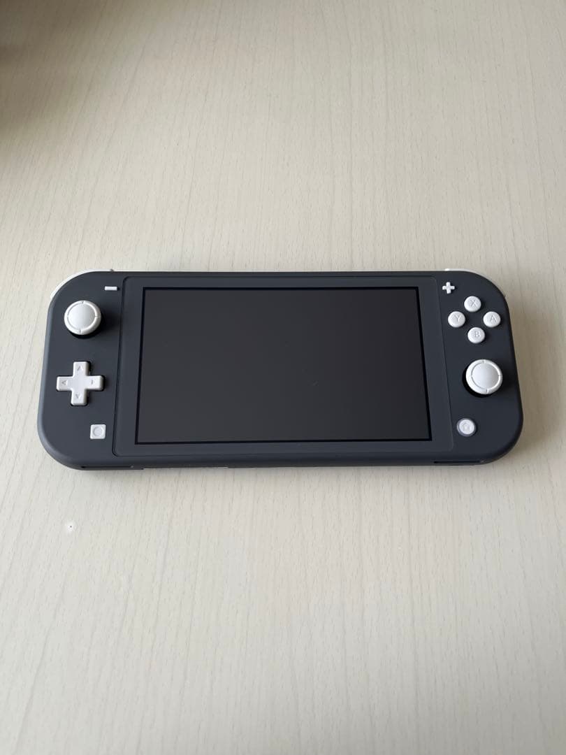《動作確認済み》Nintendo Switch Lite グレー