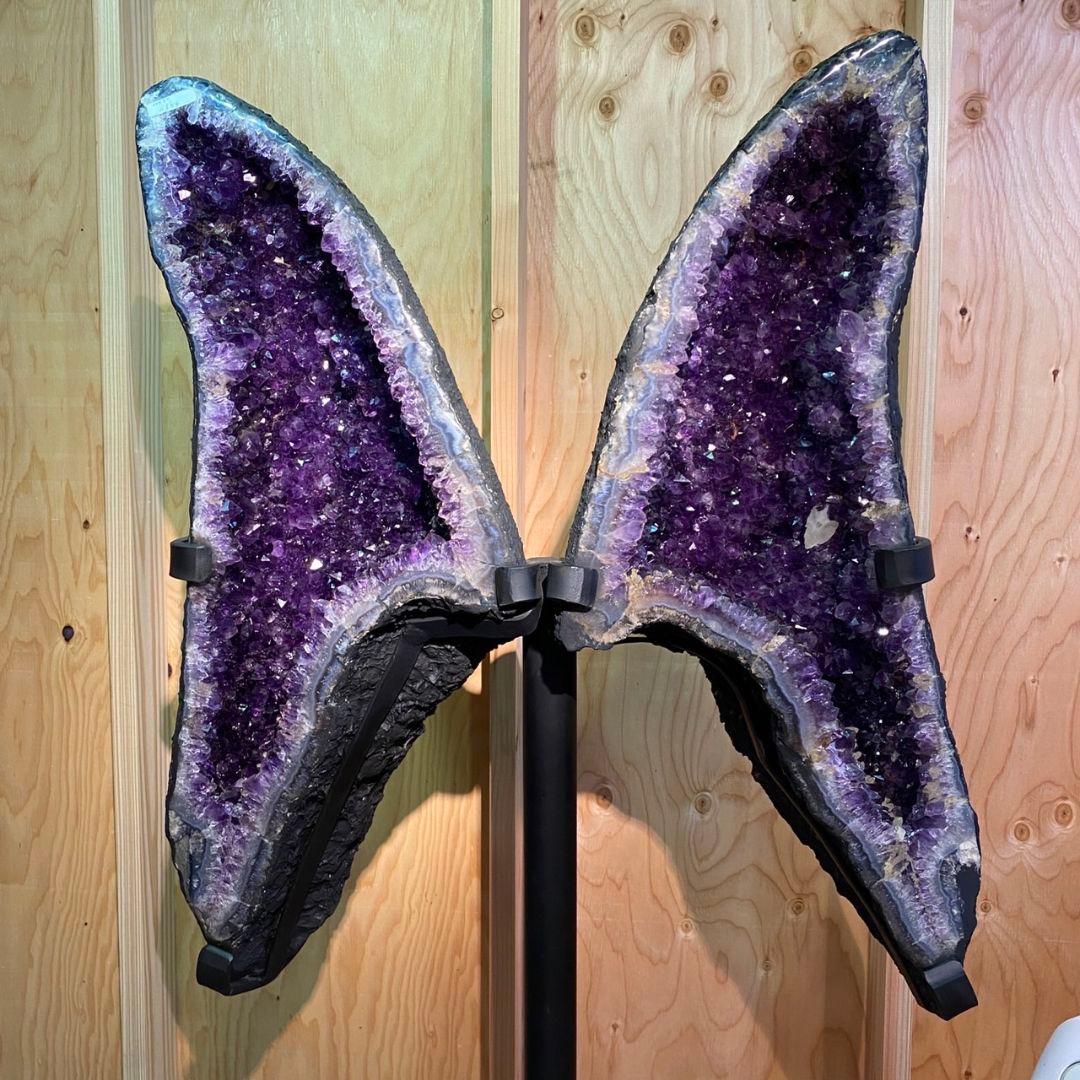 バタフライ型　アメジストペアドーム