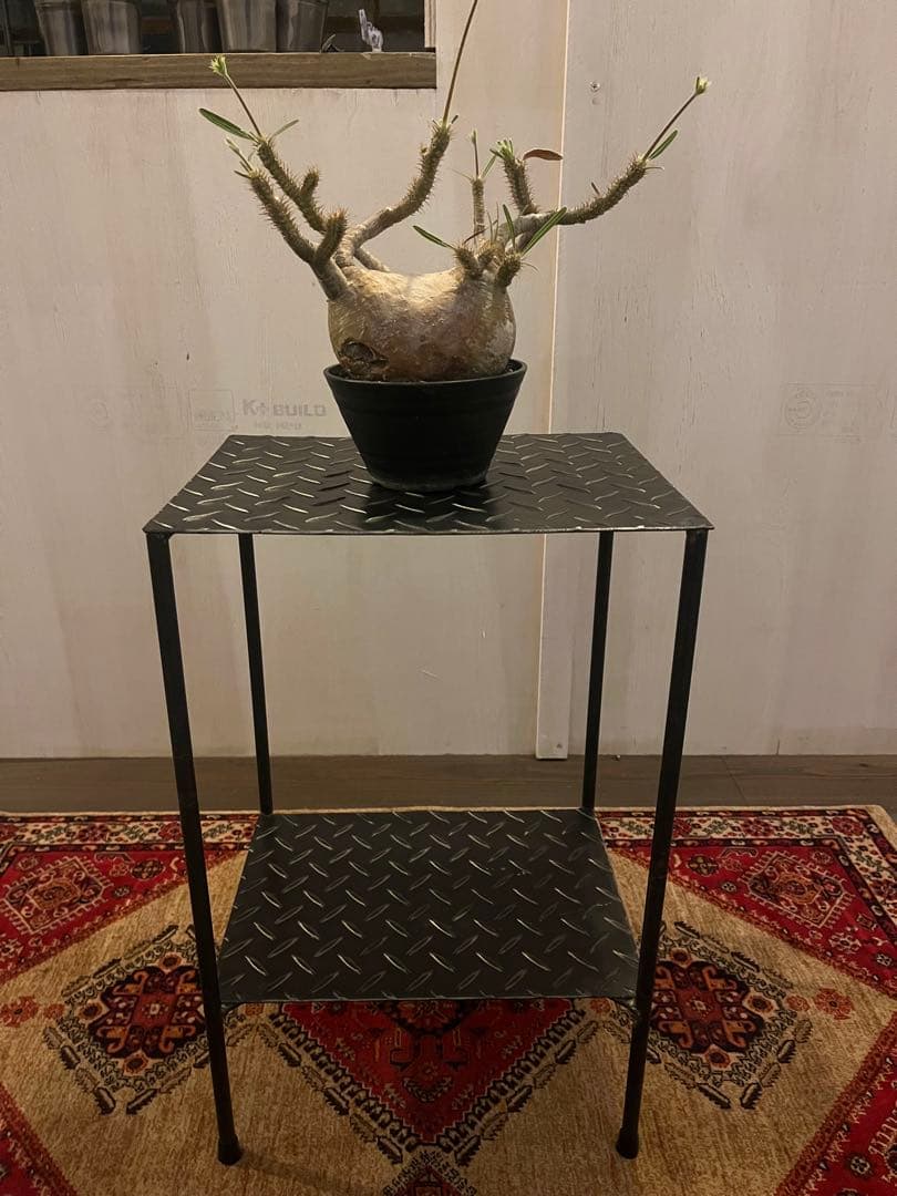 アイアンラック　シューズラック　植物棚　インダストリアル