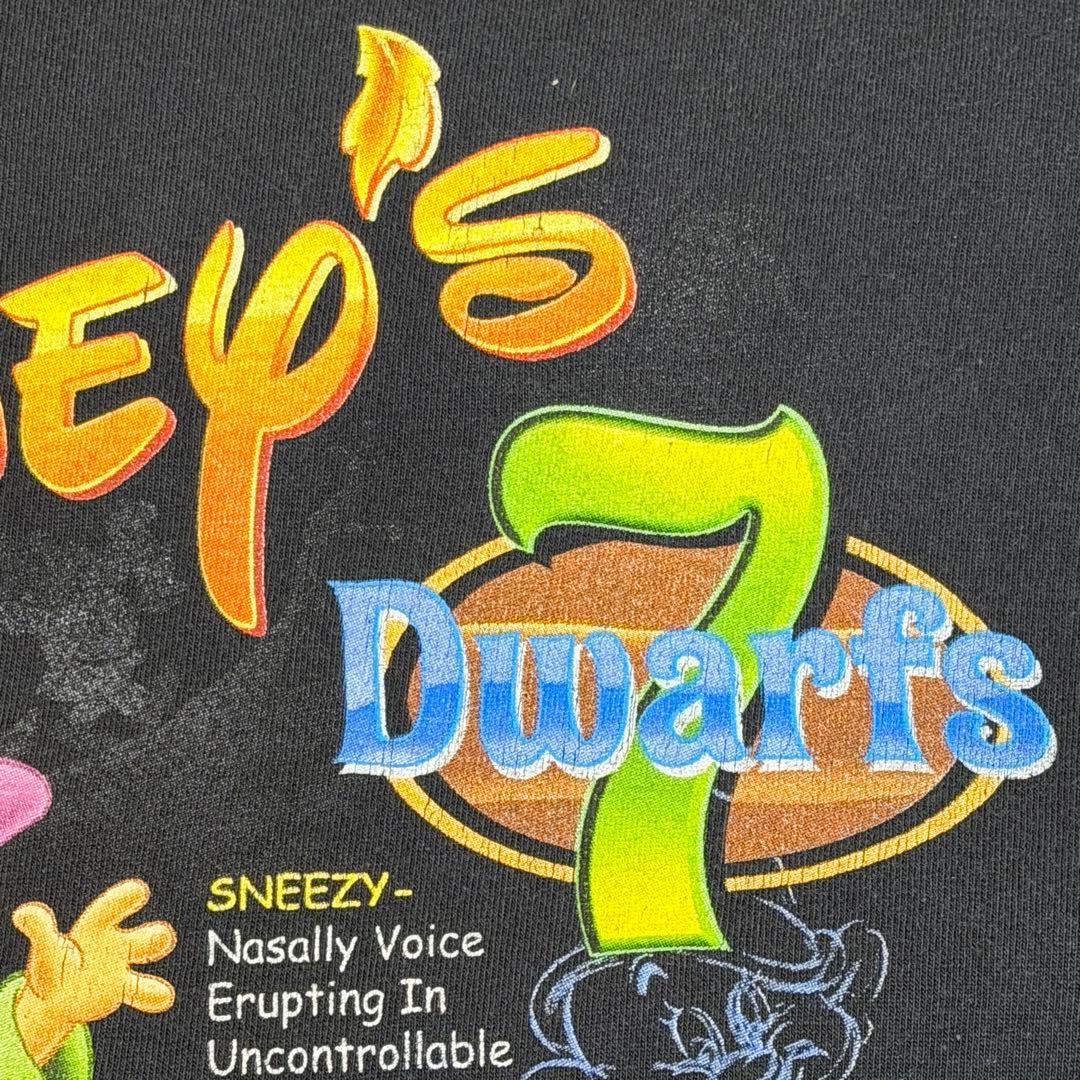 00s Disney ヴィンテージ七人のこびと TシャツXL藤ヶ谷太輔着用モデル