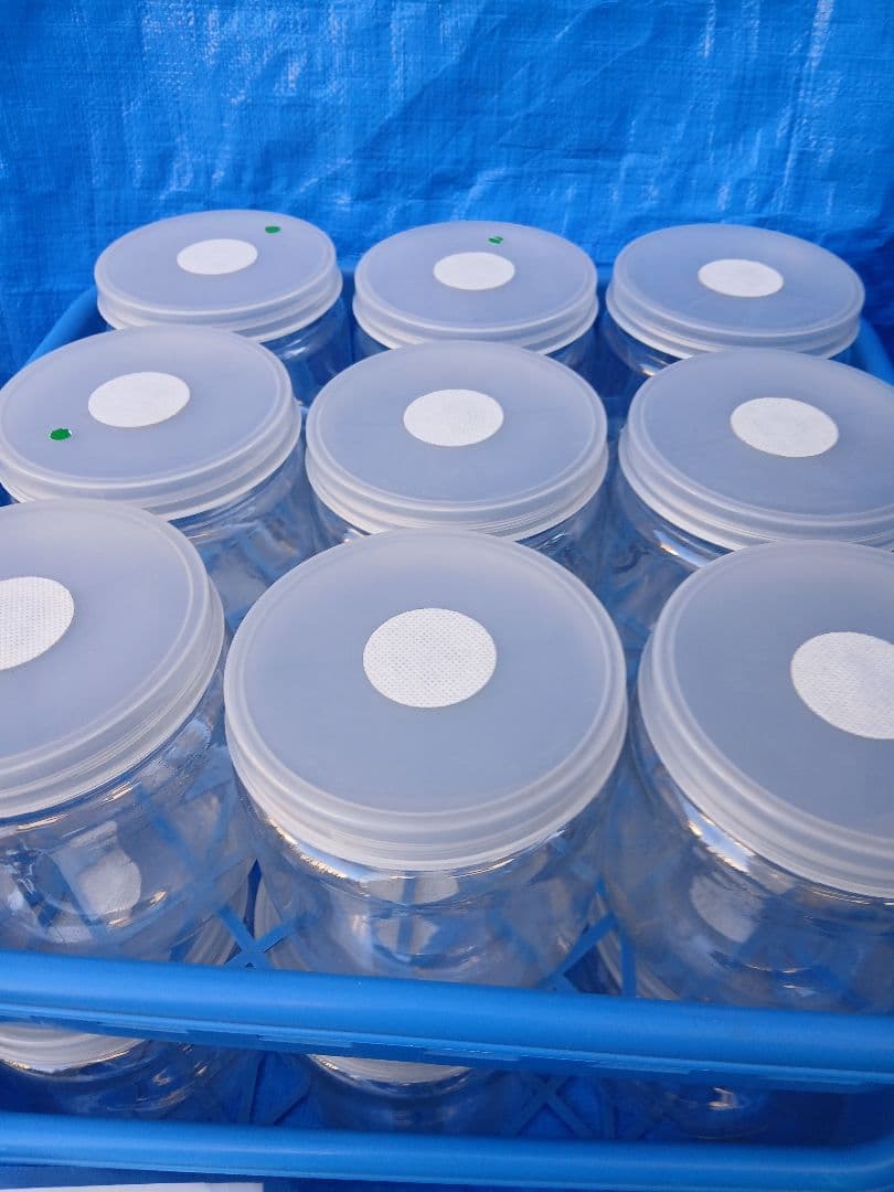 硬質クリアボトル、ボトルコンテナーなど幼虫飼育セット