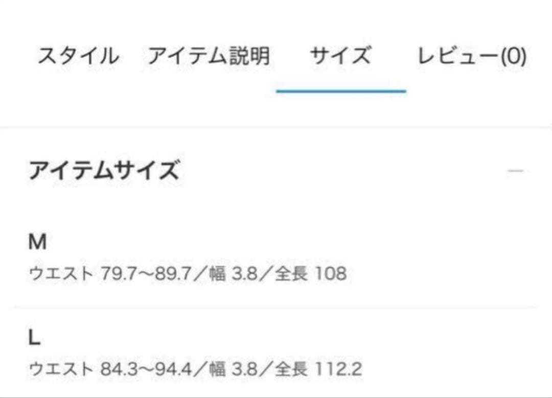 BEAMS FUTURE ARCHIVE／フューチャー アーカイブ　ベルト　L