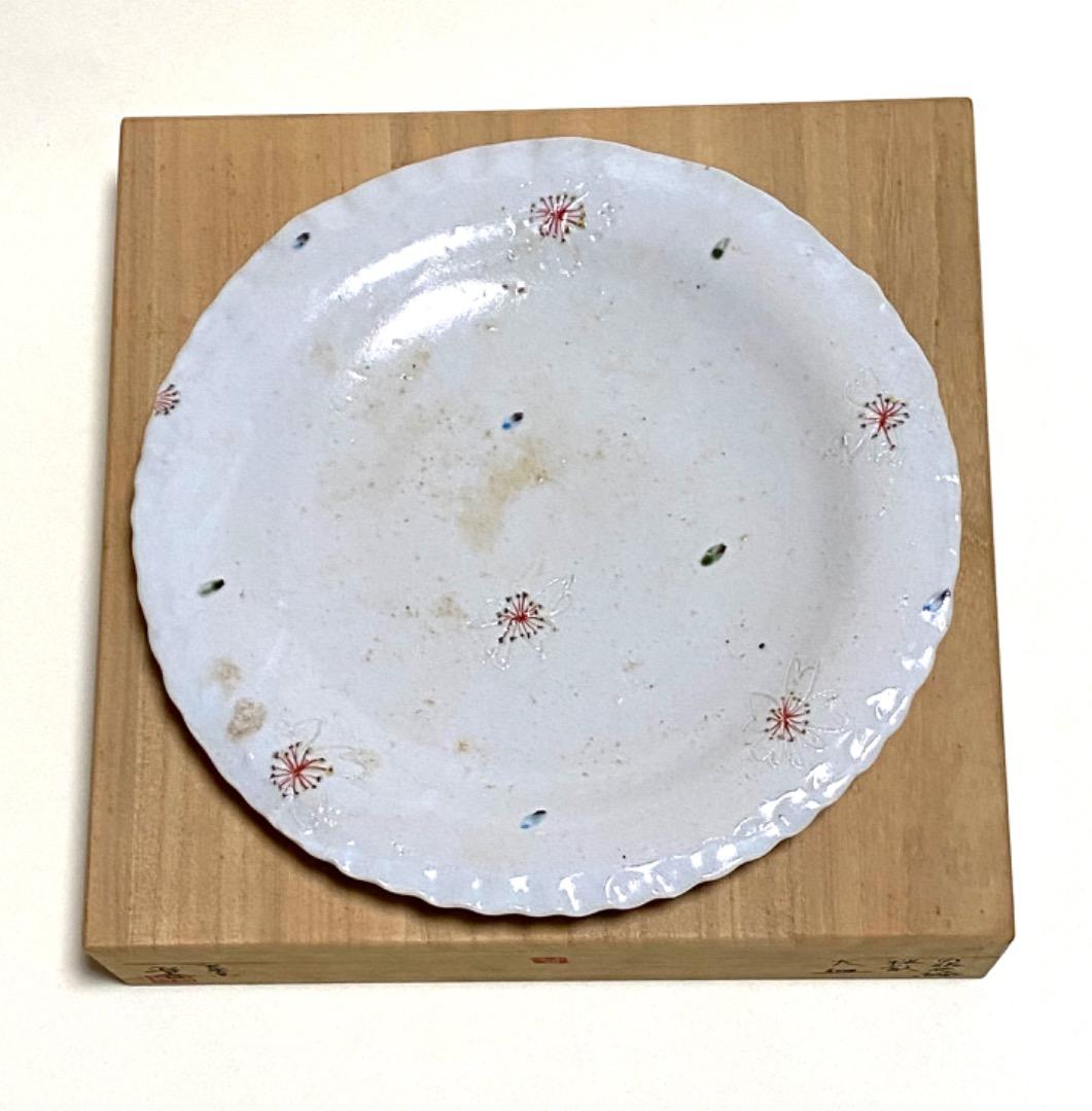 岡 晋吾 天平窯　白磁　色絵　桜散文　大皿
