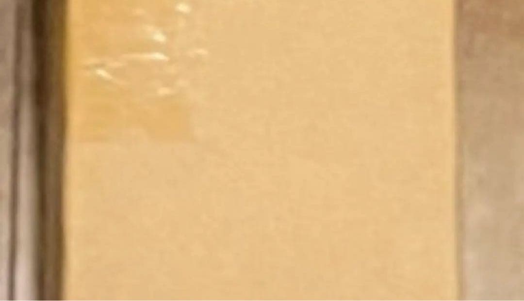 10灯　スポットライト　ダクトレール式