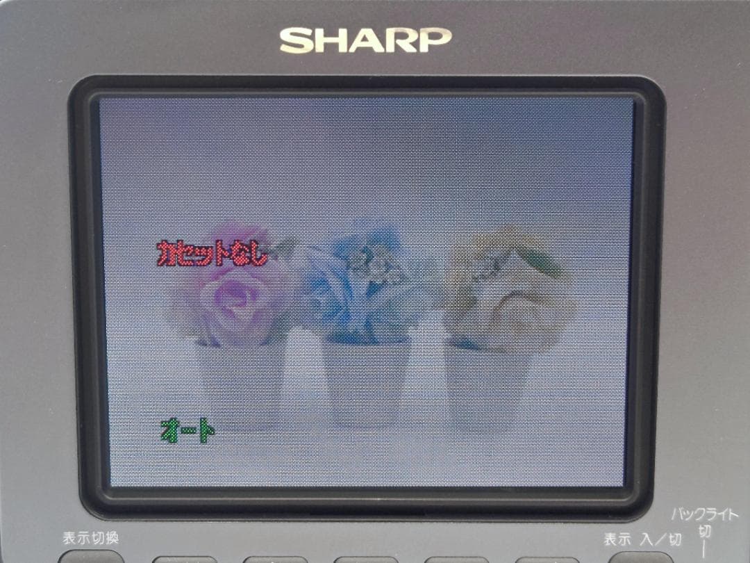 8mmテープのダビングに！ SHARP ビデオカメラ VL-HL50 02