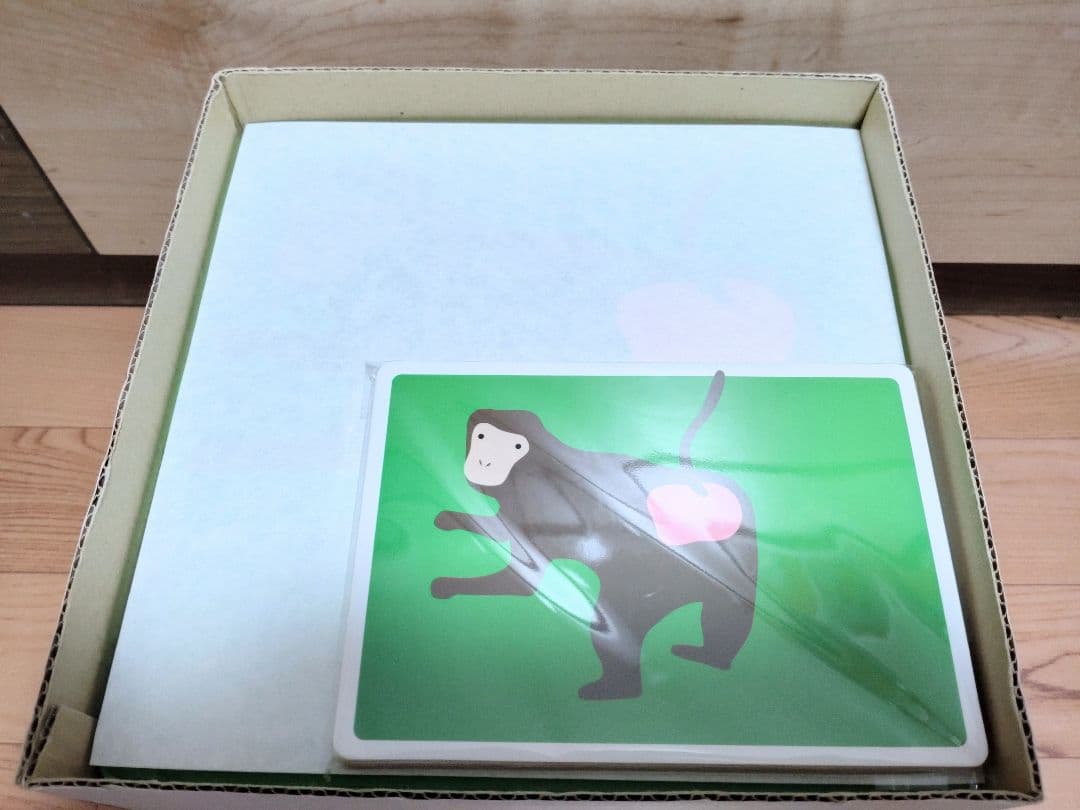 2019年新版★完品フルセット フォニックス版DVD ワールドワイドキッズ