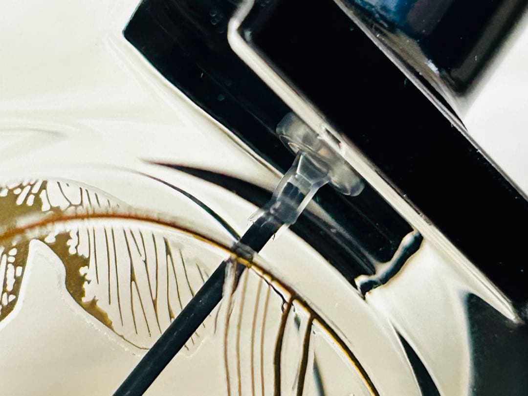 Diptyque FLEUR DE PEAU 75mL + おまけ付き