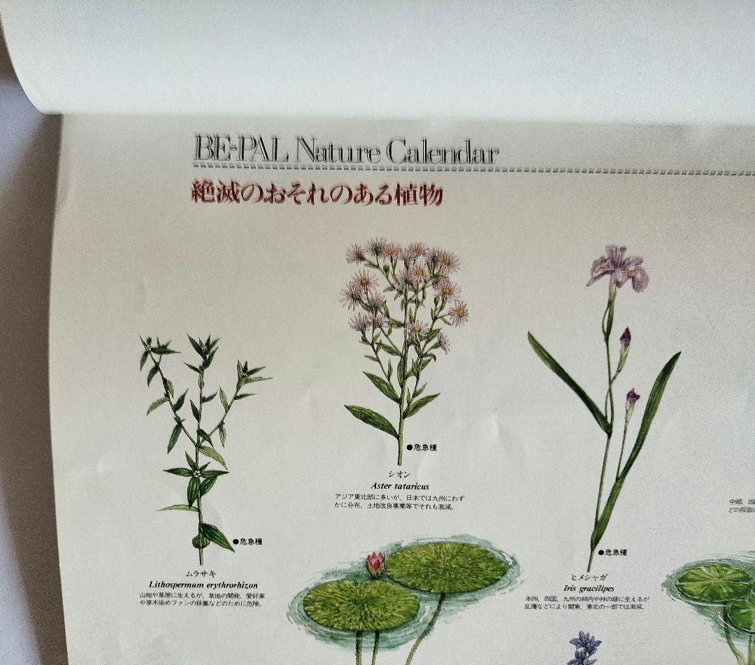 BE-PAL ビーパル カレンダー 新品未使用 1991年植物編 ヴィンテージ