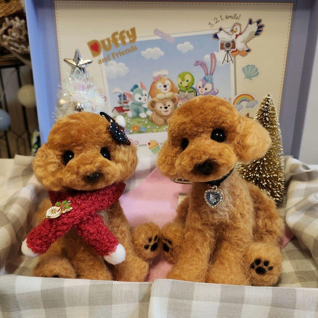 トイプードル❤️クリスマス特別価格❤️　　　　　　　　　　　　お迎え決まりました