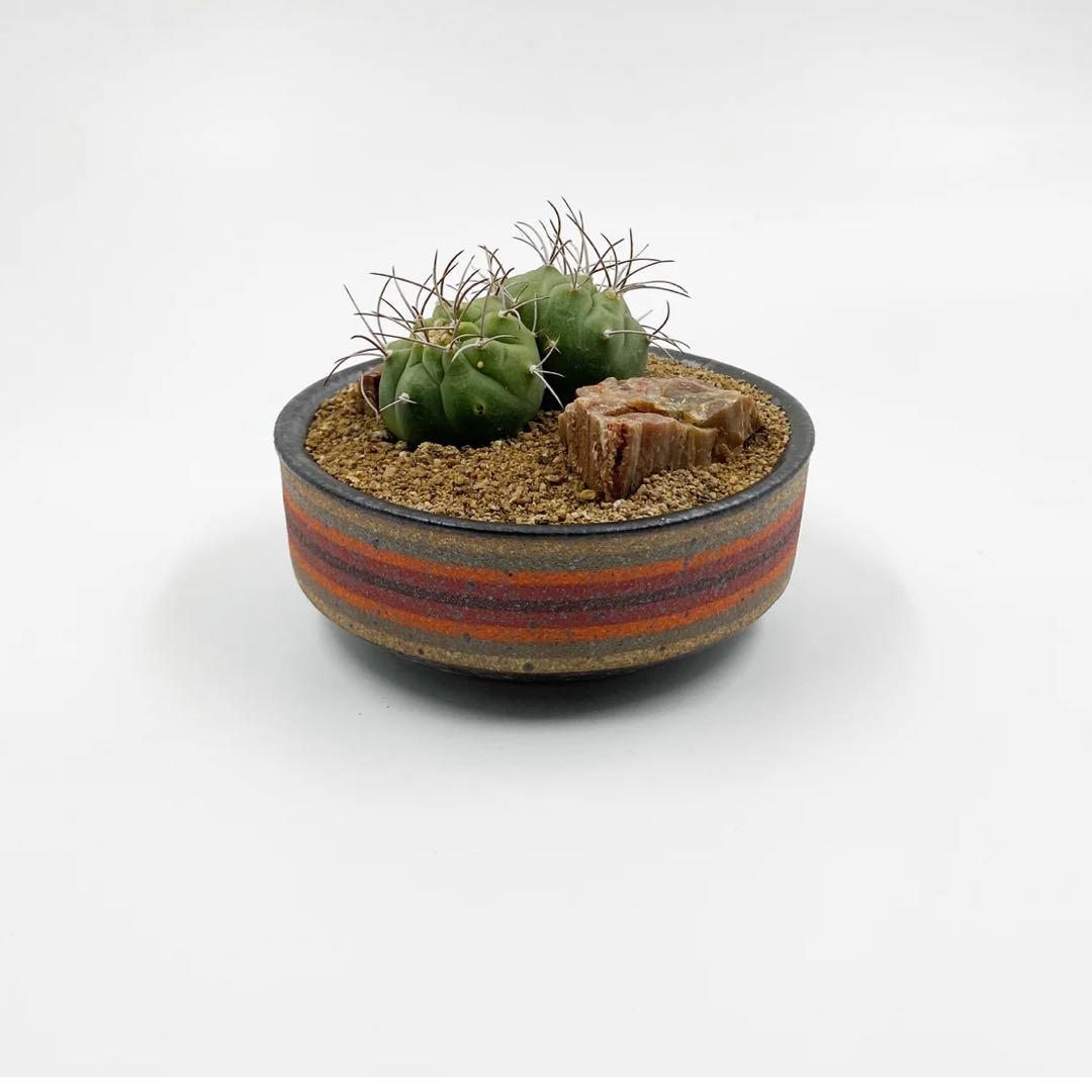 鉢・プランター kat&roger