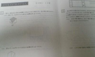 CaOlサピックス・難関校ＳＳ特訓＊６年＊算数／武蔵 対策プリント ２０回