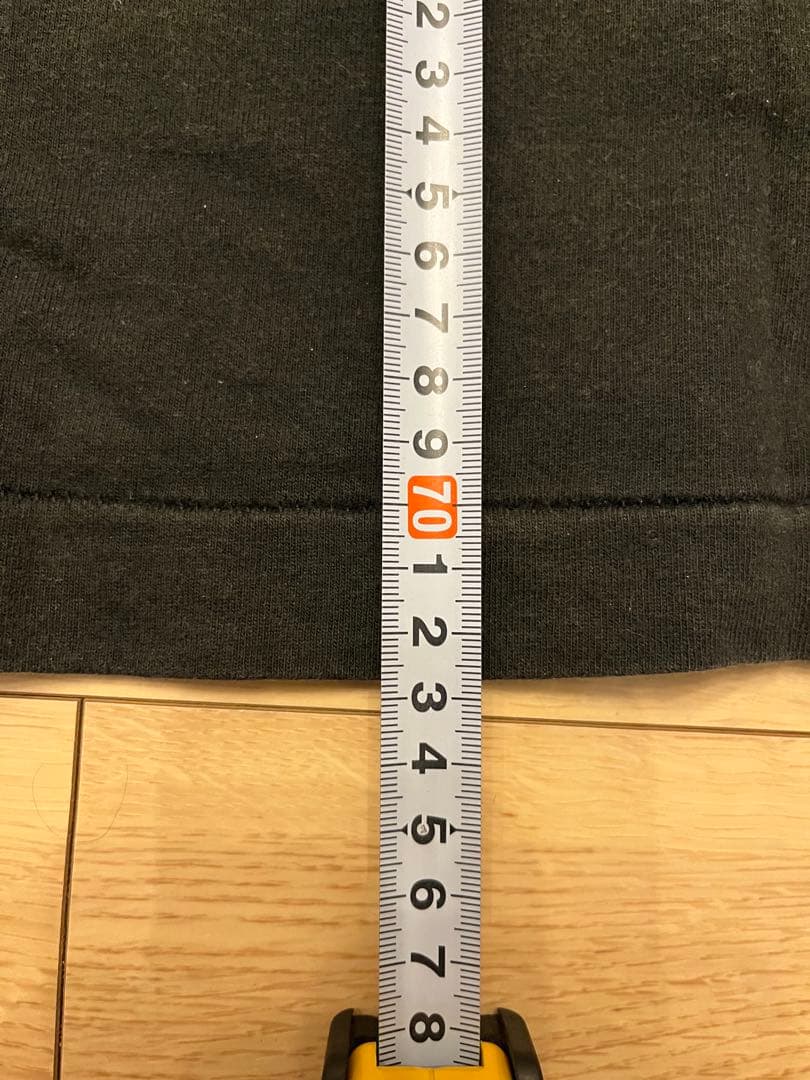 AKIRA Tシャツ フルーツオブザルーム