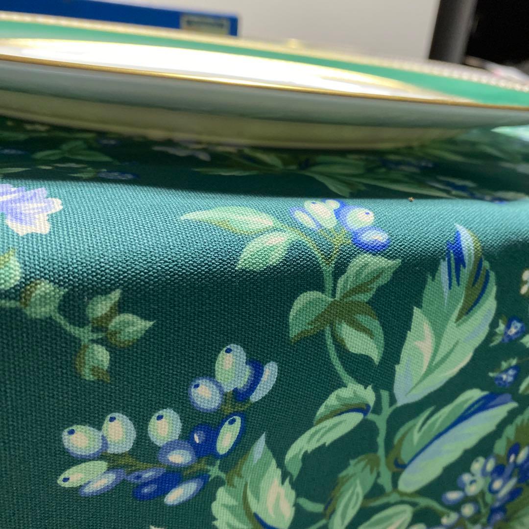 【新品未使用】ユーランダーパウダーシャグリーン　オーバルプレート