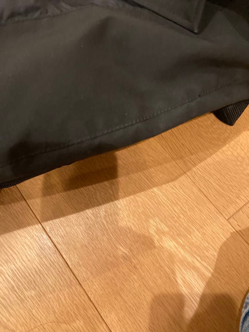 カナダグース　ミスティーク